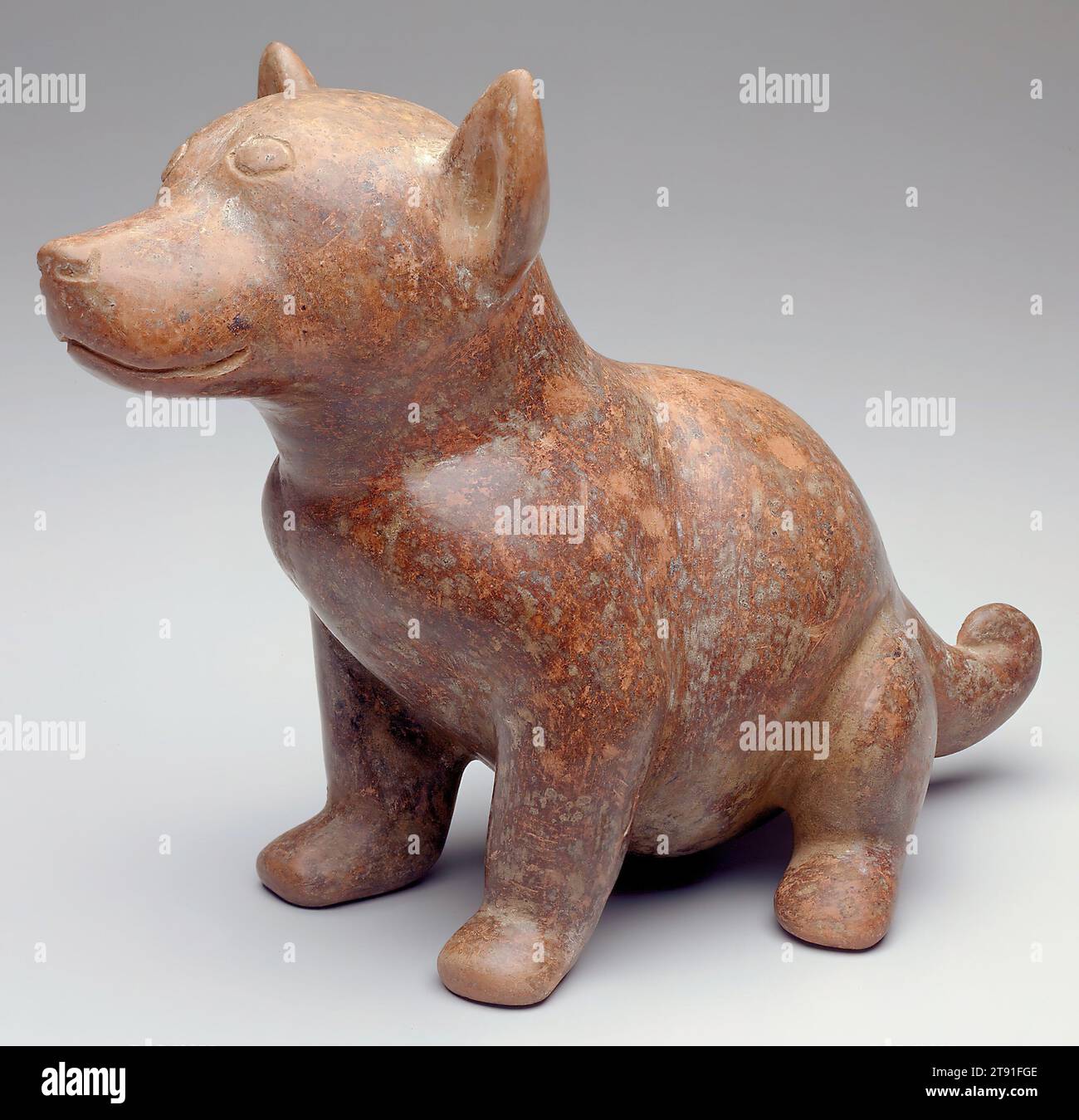 Cane, c.100-300 CE, 9 1/2 x 6 1/16 x 1/16 pollici (24,1 x 15,4 x 33,2 cm), argilla, Messico, II-IV secolo, gli artisti Colima sono noti per le loro vivaci rappresentazioni di animali, in particolare cani. Razze messicane senza peli come lo Xoloitzcuintle (show-low-eat-queen-tlee) sono state addomesticate e allevate come fonte di cibo. Avevano anche un'importanza soprannaturale e furono considerati come guide e compagni per gli esseri umani nell'aldilà. Le sepolture di Colima contenevano spesso effigie di cani, insieme ad altre provviste per una vita ultraterrena confortevole Foto Stock
