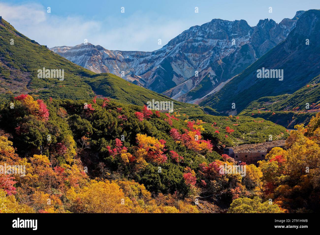 Foliage autunnale, Tokachidake Onsen, Prefettura di Hokkaido, Giappone Foto Stock