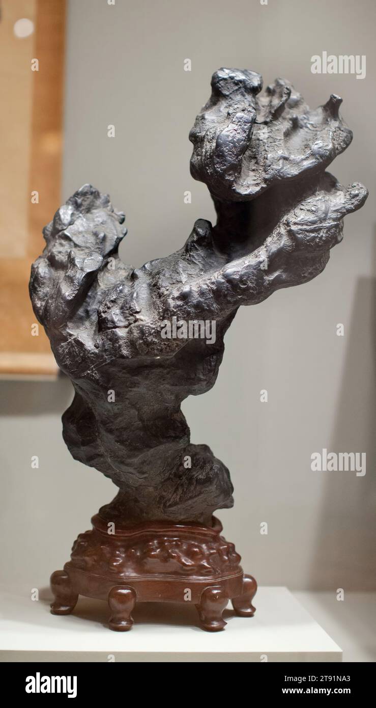 Scholar's Rock, XIX secolo, 34 x 20 x 10 pollici (86,36 x 50,8 x 25,4 cm) (approssimativa), pietra Ling-pi, Cina, XIX secolo, questo grande, la roccia eretta dello studioso ha un profilo diagonale con due grandi sporgenze bilanciate su un piede piccolo. La pietra Ling-pi nera è leggermente stropicciata e testurizzata, disegnando la maggior parte del suo effetto estetico dalla sua forma complessiva potente. Le sue dimensioni e la sua forma lo avrebbero reso un punto focale nella maggior parte delle biblioteche e probabilmente era posizionato sul pavimento o sul piedistallo dello studio piuttosto che su una scrivania o un tavolo Foto Stock
