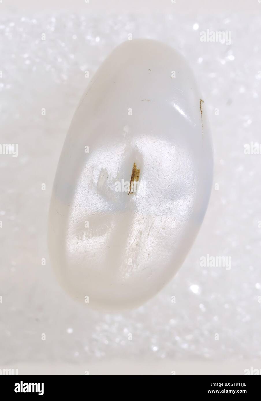 Uno dei ventuno sigilli, 800 a.C. - 400 d.C., varie, varie pietre semi-preziose, Mesopotamia, VIII secolo a.C. - V secolo d.C. Foto Stock