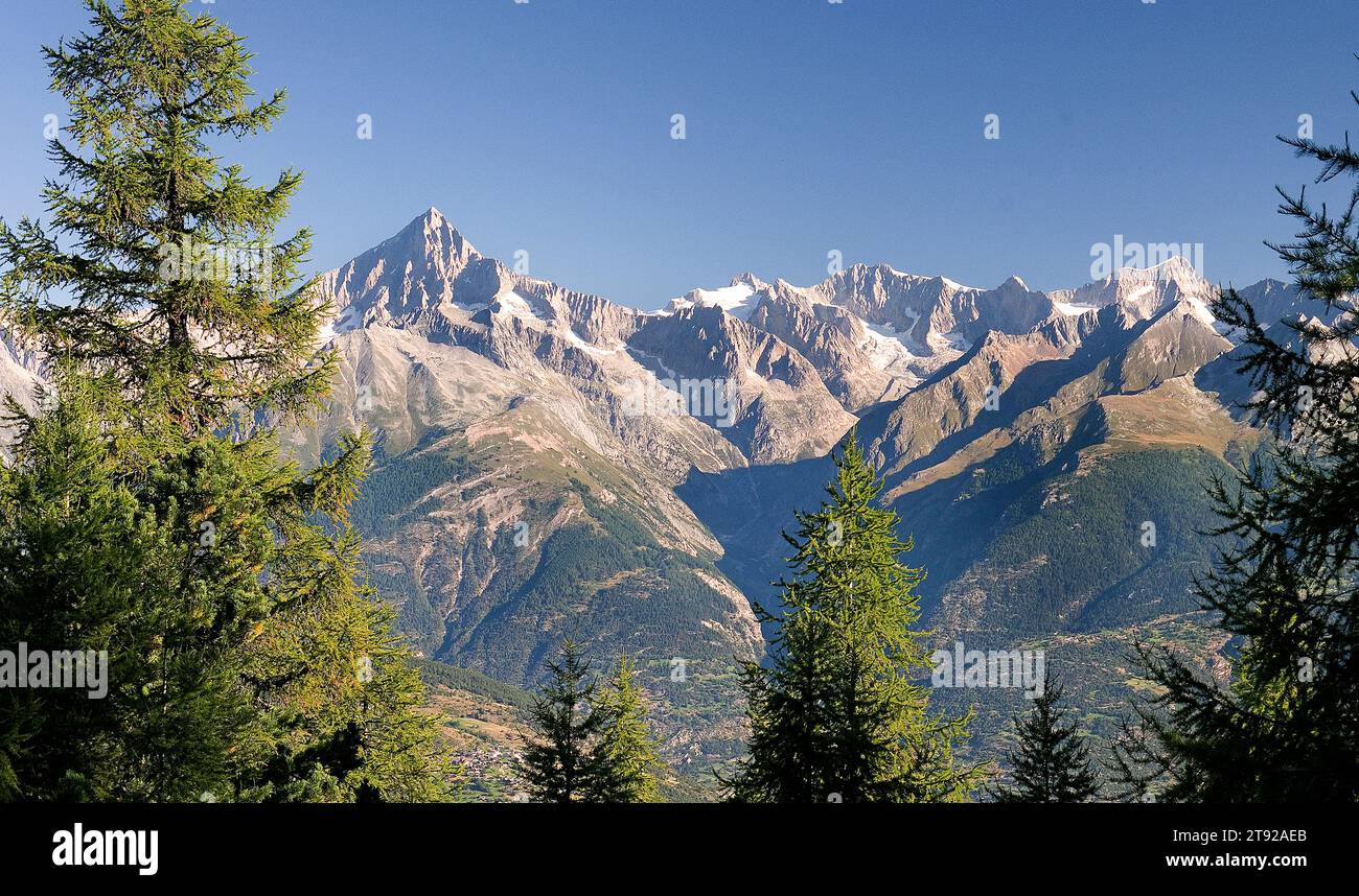 Bietschhorn (a sinistra 3934 m) e le Alpi Loetschental viste dall'Hannigalp sopra Graechen, Wallis, Svizzera. Foto Stock