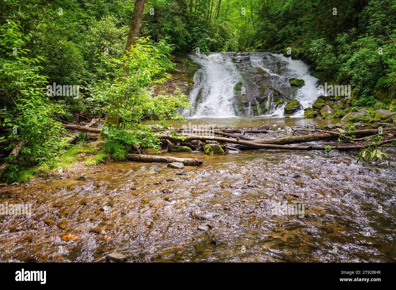Cascate Indian Creek a Deep Creek, Great Smoky Mountains National Park Foto Stock