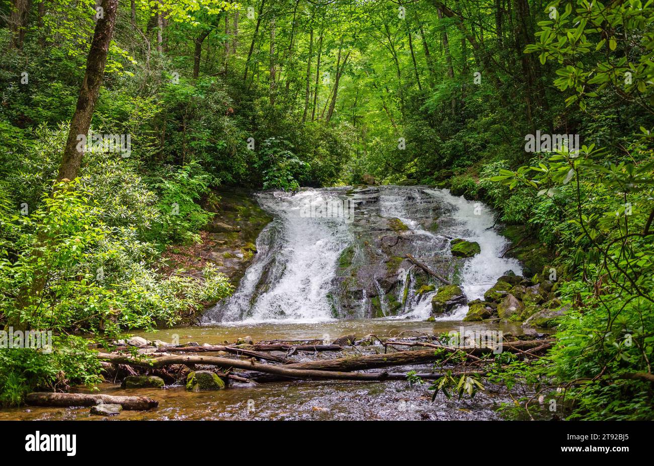 Cascate Indian Creek a Deep Creek, Great Smoky Mountains National Park Foto Stock