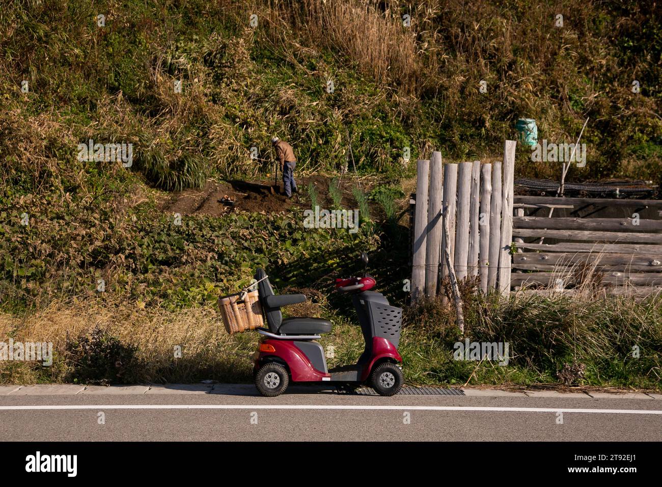 Una donna anziana che guida un veicolo elettrico per la mobilità in Giappone. Foto Stock