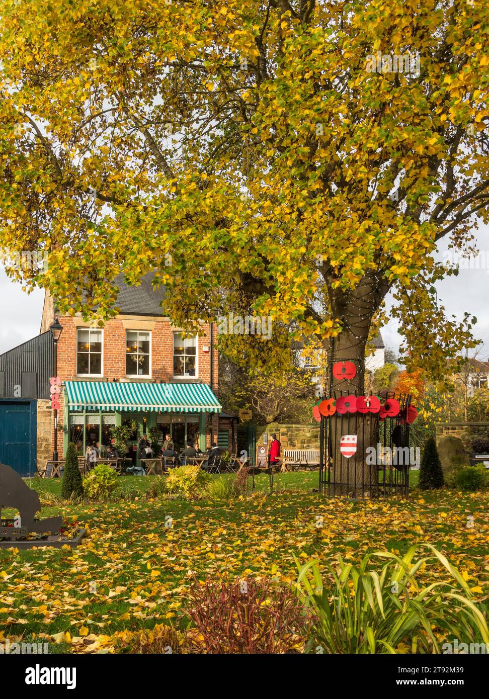 Colore autunnale nel Washington Village, Inghilterra nord-orientale, Regno Unito Foto Stock