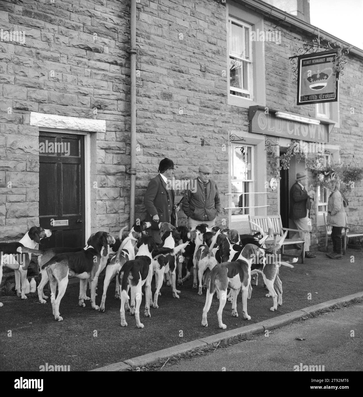 Caccia alla volpe nel Regno Unito, Lake District, Blencathra Foxhounds. Barry Todhunter gestisce i cani al di fuori della Vecchia Corona, mentre molti sostenitori si incontrano all'interno per assaggiare le birre prodotte localmente. . Hesket Newmarket, Cumbria. 2002, 2000 Inghilterra HOMER SYKES Foto Stock