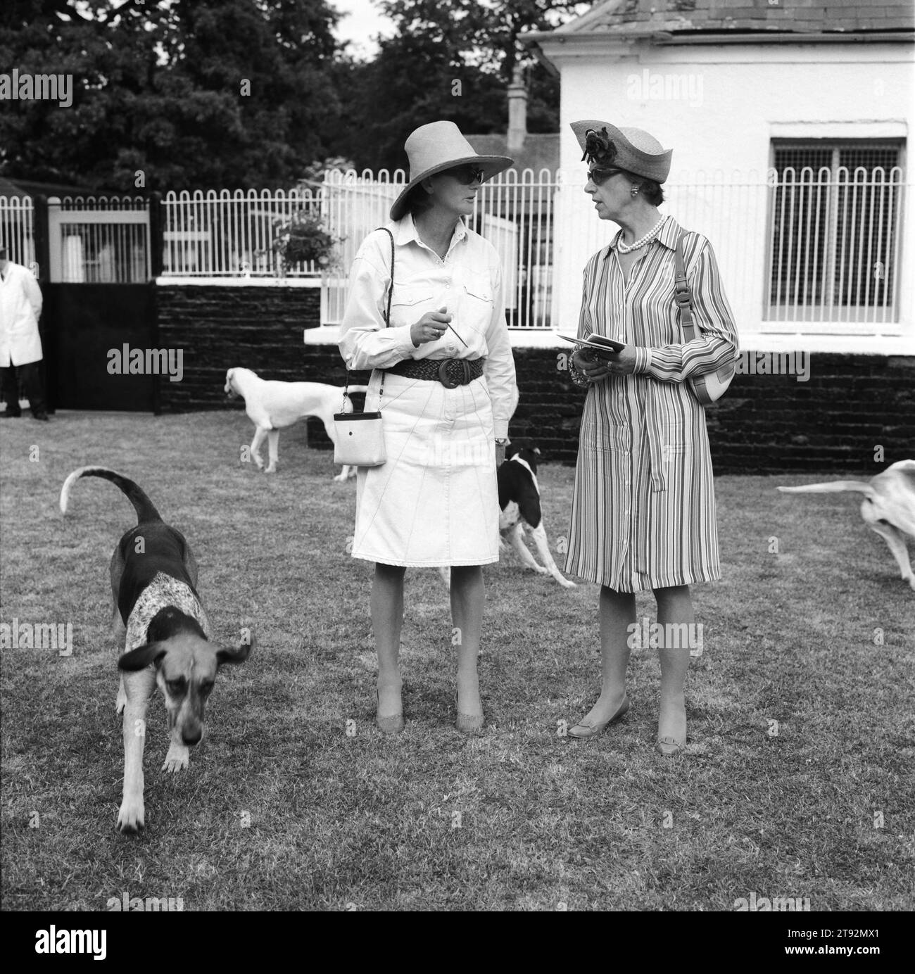 Pupy Show UK. Duke of Beaufort's Hunt, lo spettacolo di cuccioli a Badminton House. È il momento culminante della stagione estiva, dove gli amanti del cucciolo possono guardare con orgoglio le loro cariche fare del loro meglio. Due signore discutono dei meriti dei cuccioli alla fine della competizione. Badminton, Gloucestershire Inghilterra Regno Unito anni '2002 2000 HOMER SYKES Foto Stock