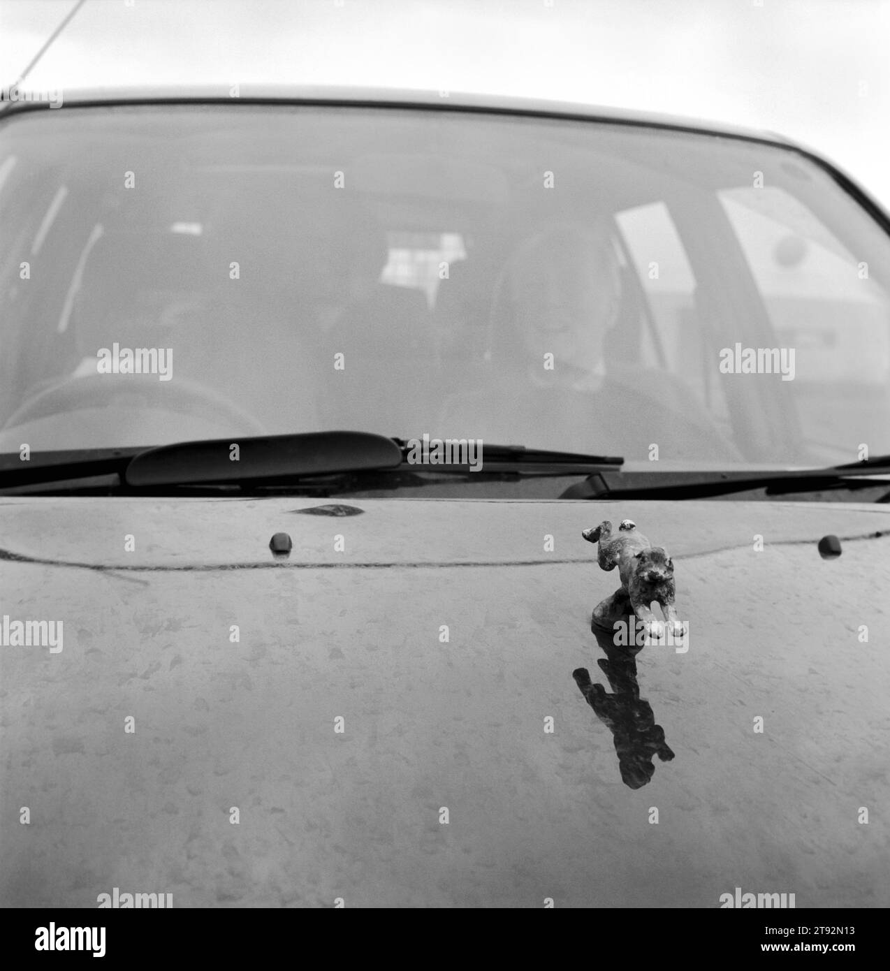 Hare Coursing. Una famiglia di cacciatori sta sotto la pioggia nella sua auto. Il cofano è decorato con una mascotte di una lepre marrone comune in volo. Greyhound 2000 Meet. Vicino a Six Mile Bottom, Newmarket, Suffolk. Inghilterra, anni '2000, HOMER SYKES Foto Stock