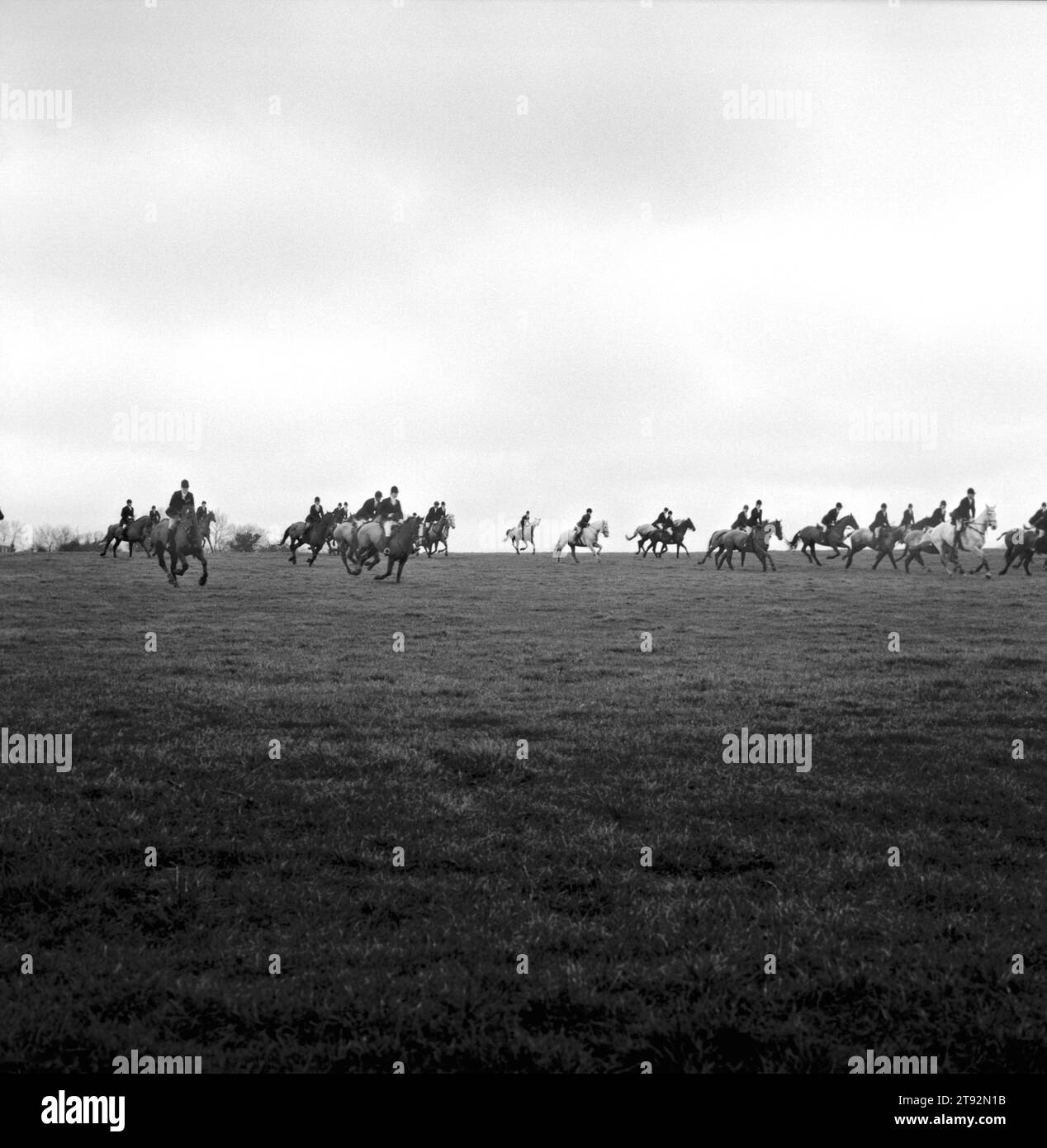 Il Duca di Beauforts Hunt. La caccia in pieno galoppo attraverso la campagna sotto la pioggia battente. Vicino a Luckington, Gloucestershire Inghilterra Regno Unito 2002 2000S HOMER SYKES Foto Stock