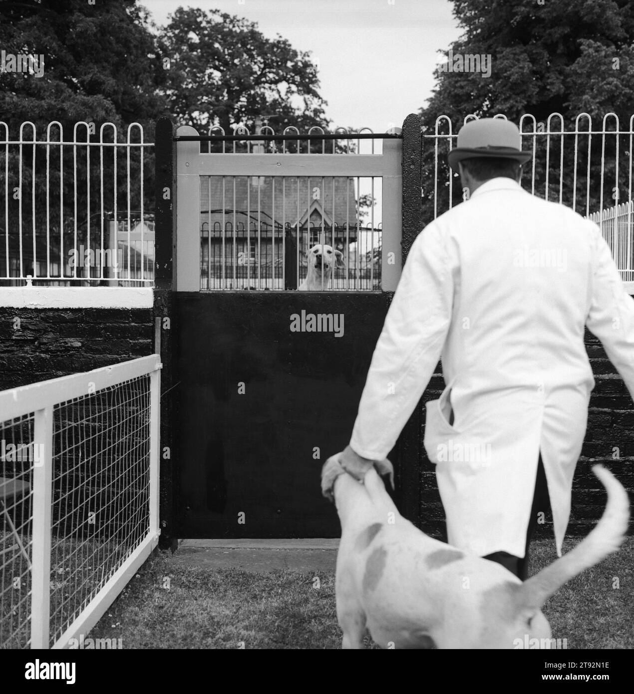 Kennel Man riporta un cane nel suo canile alla mostra annuale Duke of Beauforts Hunt a Badminton House, Badminton Gloucestershire. Badminton, Gloucestershire Inghilterra Regno Unito anni '2002 2000 HOMER SYKES Foto Stock