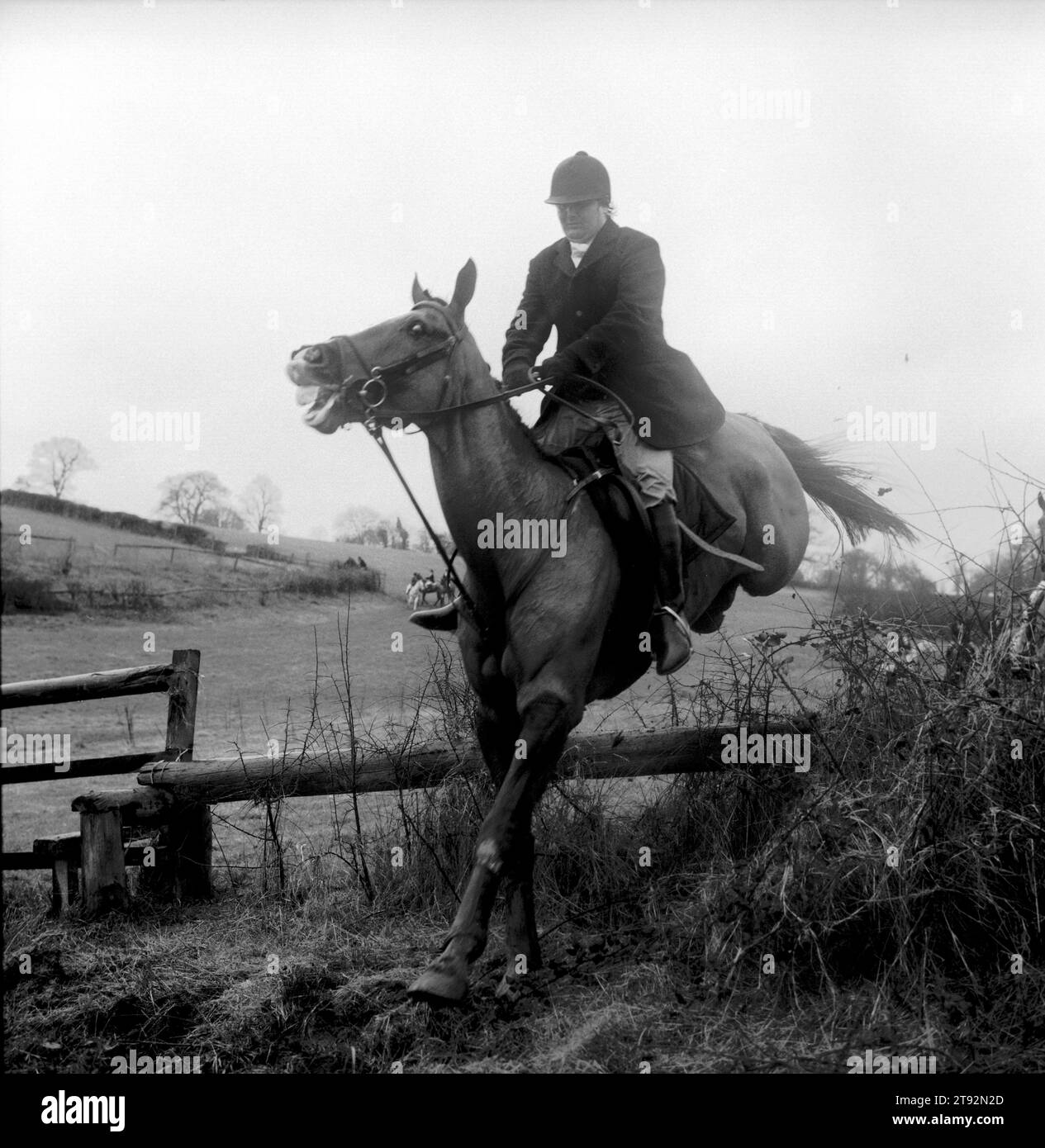Il Duca di Beauforts Hunt. Una punteria montata fa un salto sotto la pioggia battente. Vicino a Luckington, Gloucestershire Inghilterra Regno Unito 2002 2000s HOMER SYKES Foto Stock