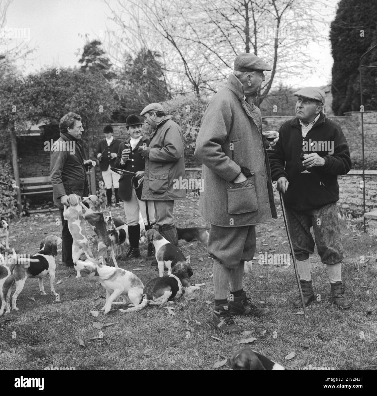 Beagling, The Dummer Beagles a Lawn Meet at Manor Farm, Icomb è un'occasione molto mondana con l'ospite che offre un ampio rinfresco. Gloucestershire, Inghilterra 2002 2000s UK HOMER SYKES Foto Stock