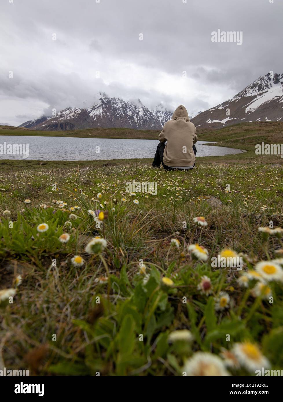 Il lago di Pensila, abbracciato da vette innevate, svela un paradiso sereno. I fiori di bosco adornano i prati, riflettendo l'armonia della natura in acque tranquille. Foto Stock