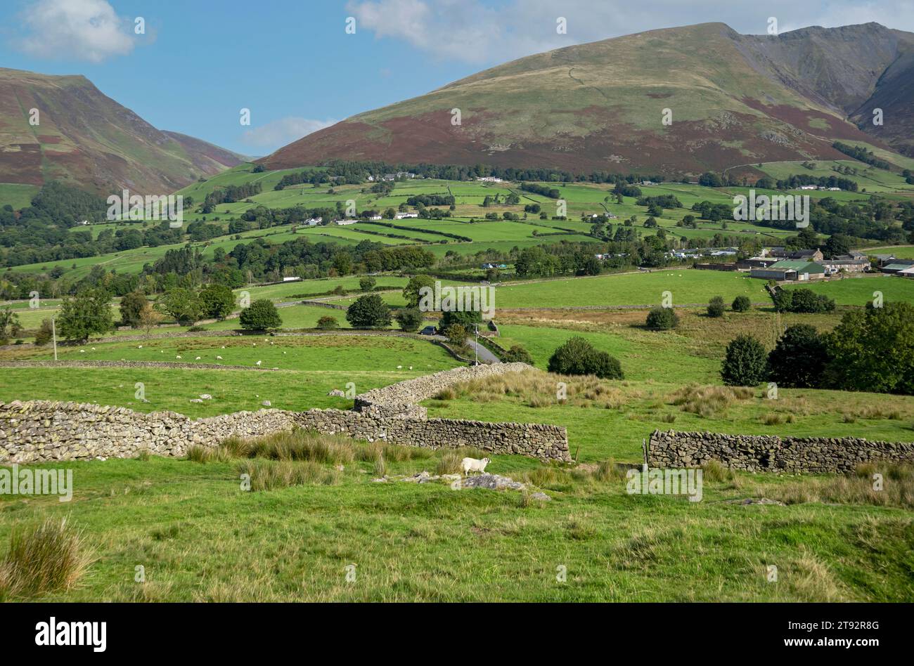 Vista di Blease Fell e Blencathra in estate Threlkeld vicino al Keswick Lake District National Park Cumbria Inghilterra Regno Unito Gran Bretagna Foto Stock