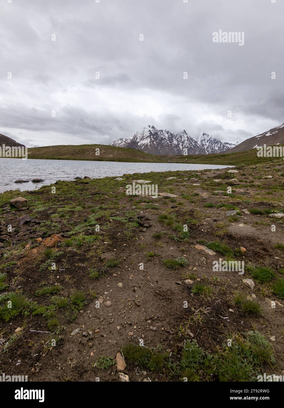 Il lago di Pensila, abbracciato da vette innevate, svela un paradiso sereno. I fiori di bosco adornano i prati, riflettendo l'armonia della natura in acque tranquille. Foto Stock