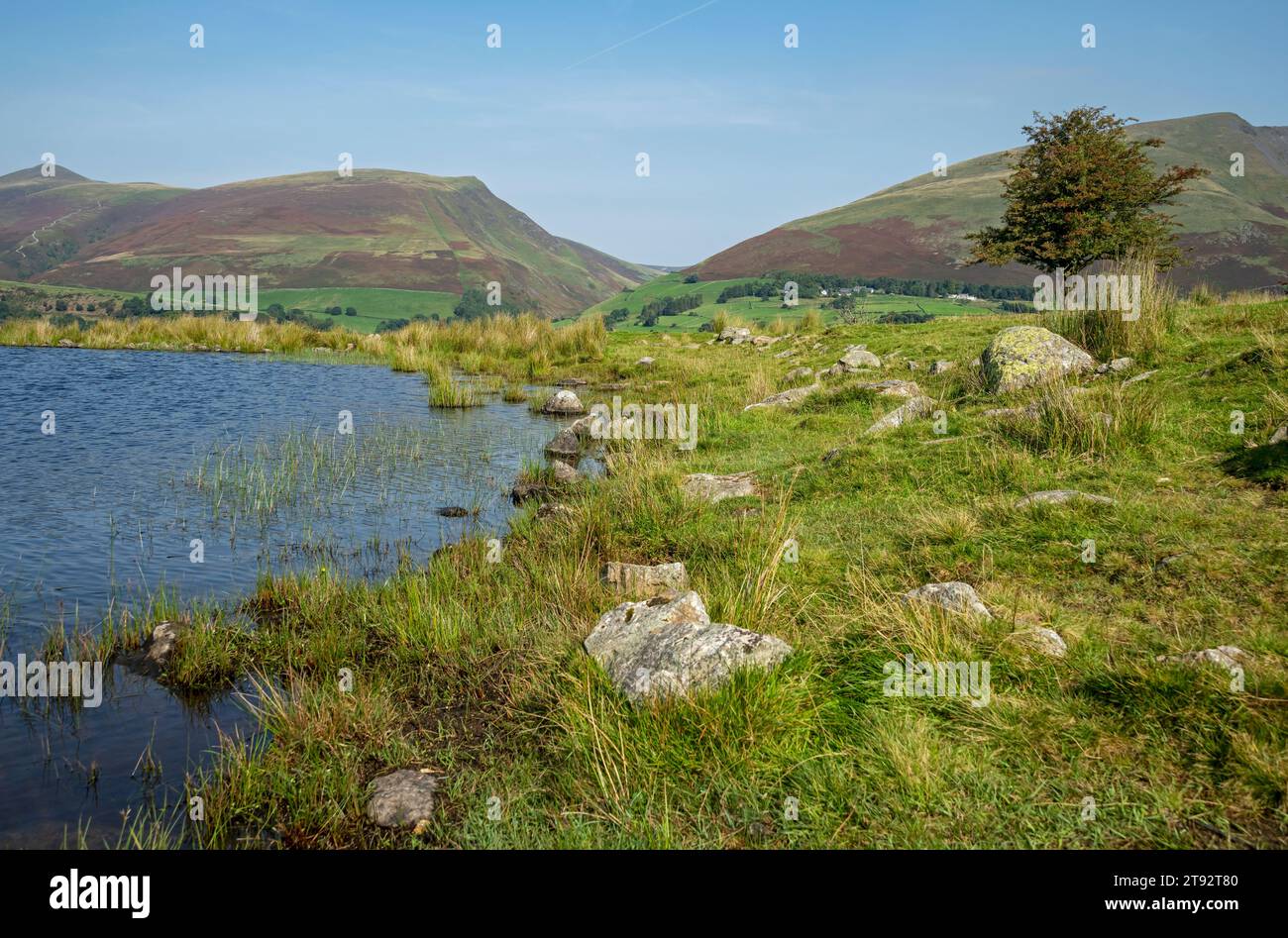 Tewet Tarn con Skiddaw, Lonscale Fell e Blease caddero sullo sfondo in estate vicino al Keswick Lake District National Park Cumbria England UK United Foto Stock