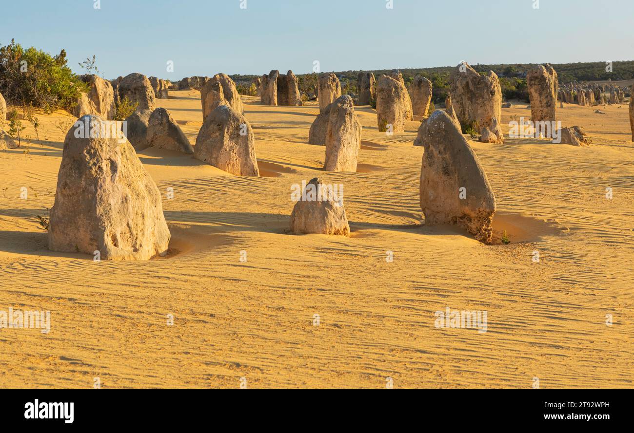 I pinnacoli calcarei, il parco nazionale di Nambung, Foto Stock