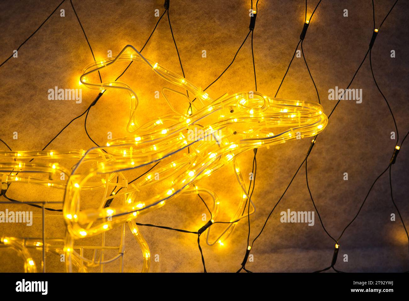 Illumina i tuoi progetti con il fascino accattivante di una testa di renna delineata da calde luci dorate. Su un elegante sfondo nero, i dettagli di Foto Stock