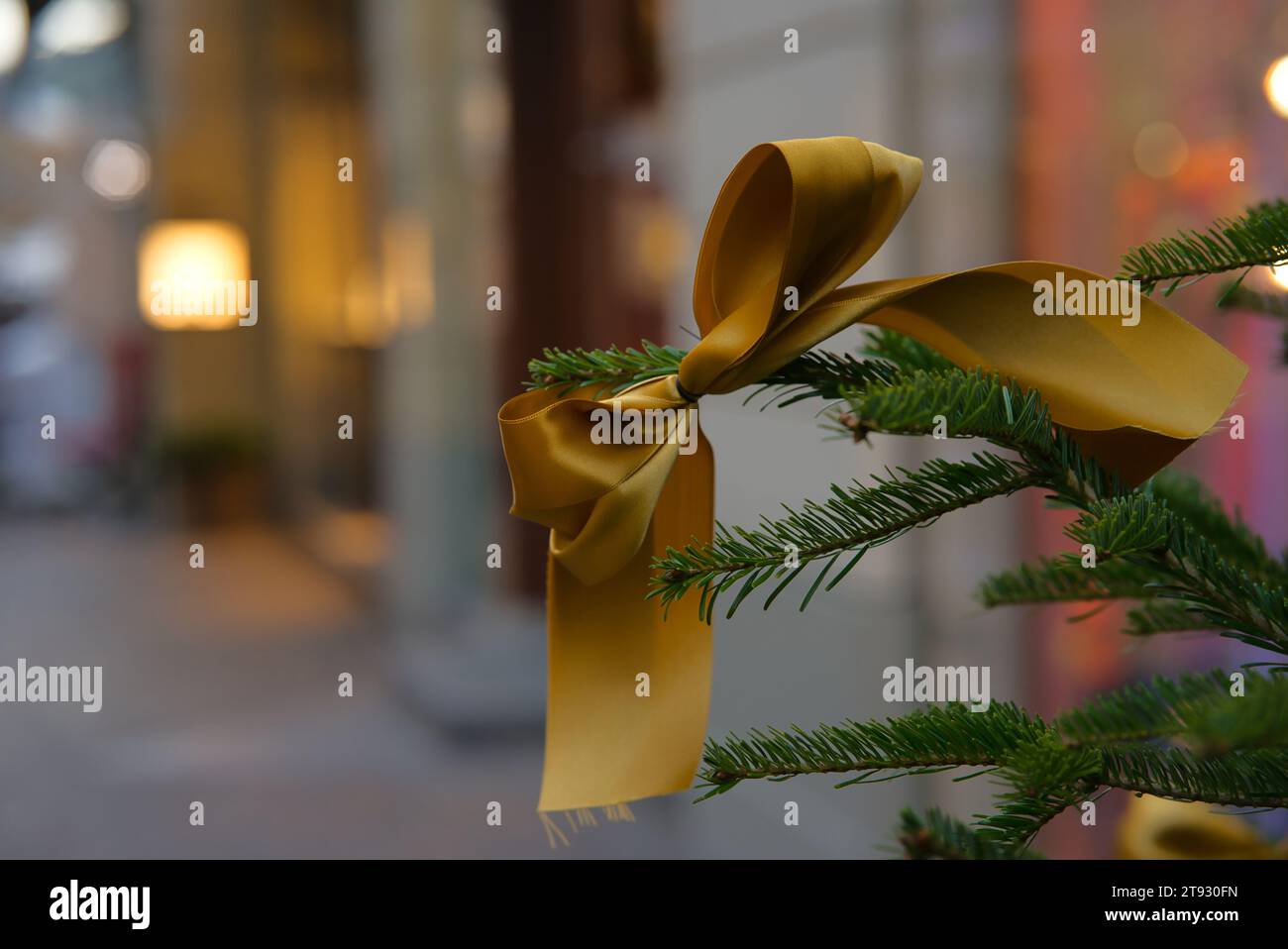 Valorizza la grafica dello shopping natalizio e natalizio con questa accattivante immagine caratterizzata da un nastro in tessuto dorato adornato su un ramo di Tannenbaum. La b Foto Stock