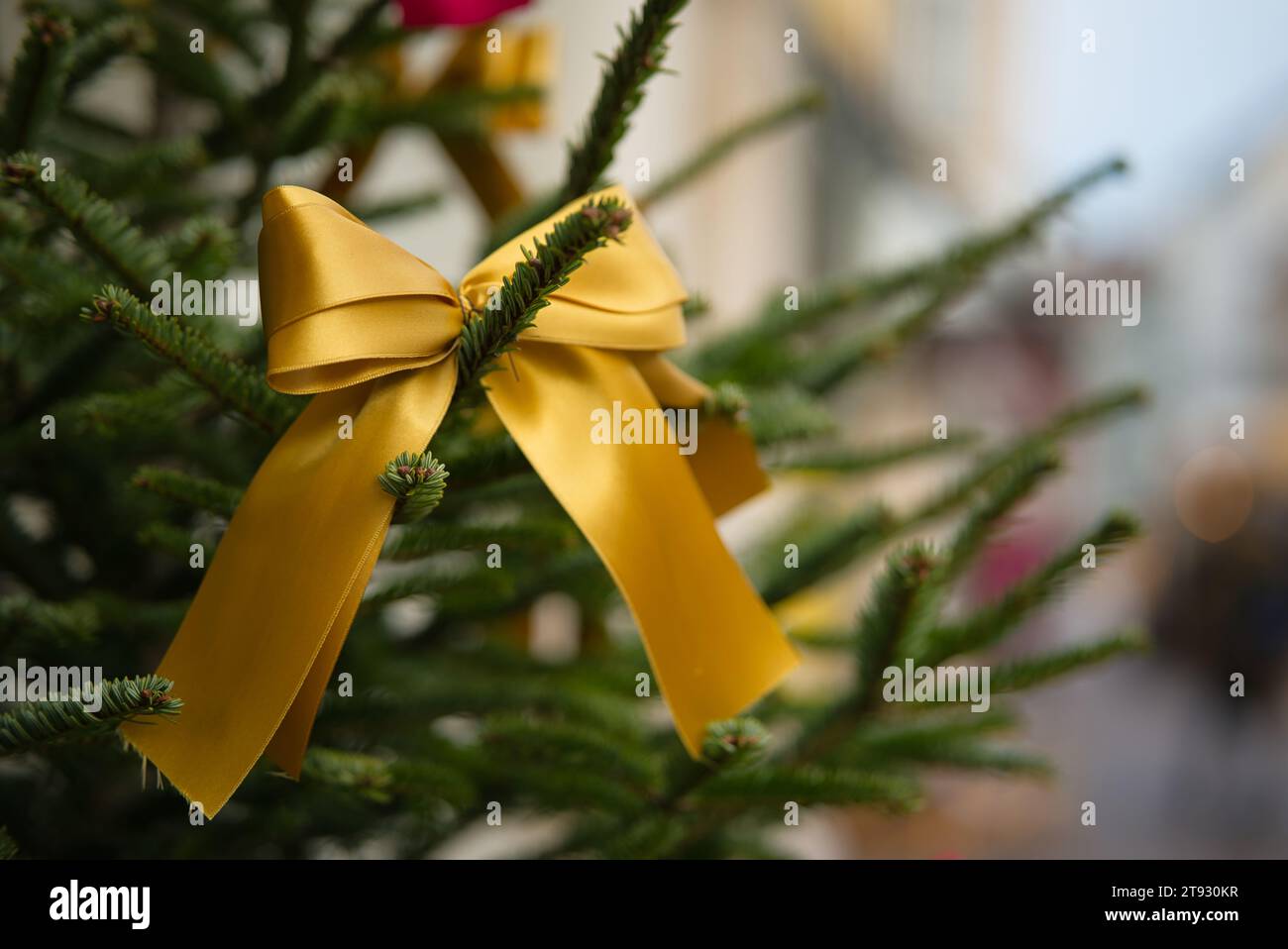 Immergiti nello spirito natalizio con una vista su un albero di Natale adornato da un radioso nastro d'oro, adagiato su uno sfondo sognante e sfocato di Foto Stock