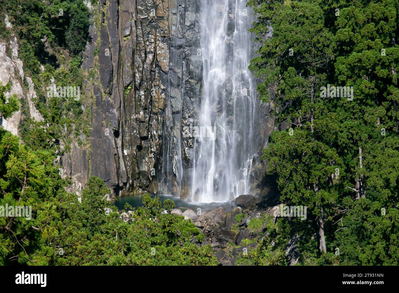 La cascata Nachi è una grande cascata permanente in Giappone situata nella prefettura di Wakayama. Foto Stock