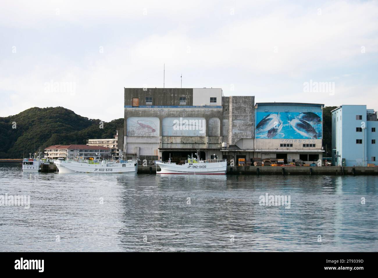 Nachikatsuura, Giappone; 1 ottobre 2023: Il principale porto di pescatori della città di Katsuura. Foto Stock