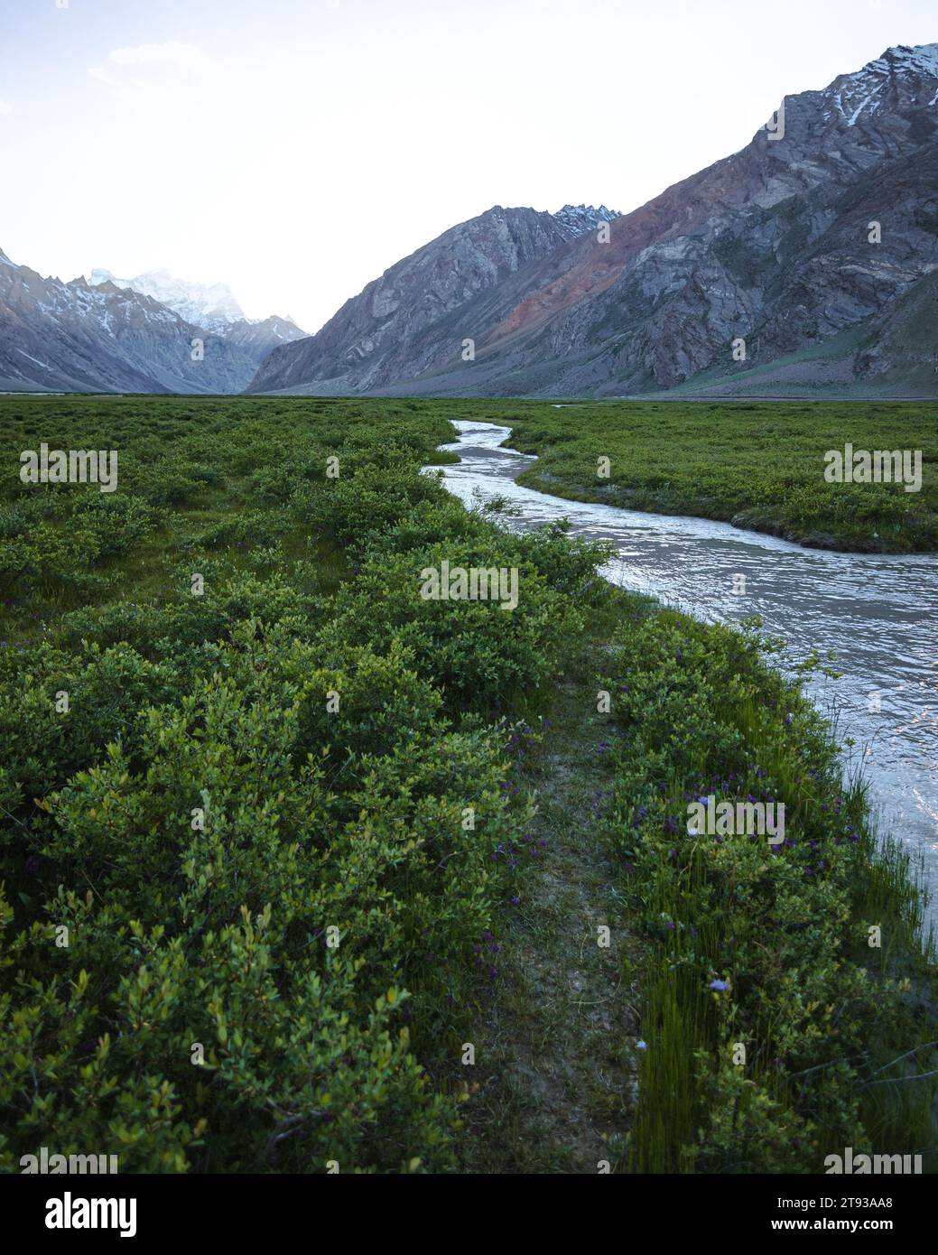 Un torrente curvato che scorre attraverso i prati del rangdum ladakh. Foto Stock