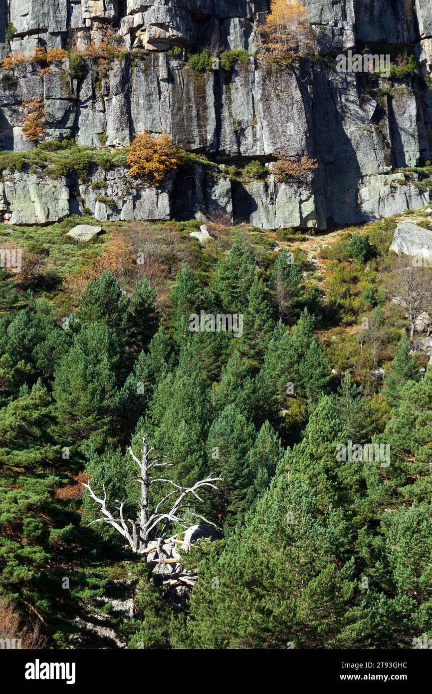 Parco naturale Black Lagoon a Soria, Castilla y León, Spagna Foto Stock