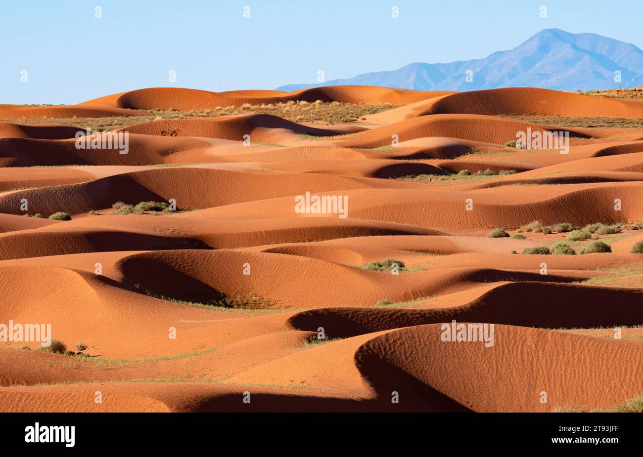 Dune di sabbia a nord-est delle Henry Mountains, Utah Foto Stock