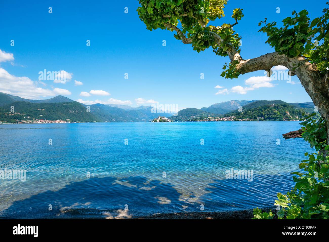 Paesaggio del Lago d'Orta. Un albero in primo piano. Orta San Giulio e l'isola di San Giulio sullo sfondo. Regione Piemonte, Italia, Europa. Foto Stock