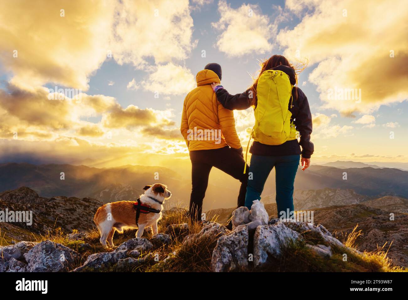un paio di escursionisti con il loro cane che guardano il tramonto insieme dalla cima di una montagna. sport, montagna e attività all'aperto. Foto Stock