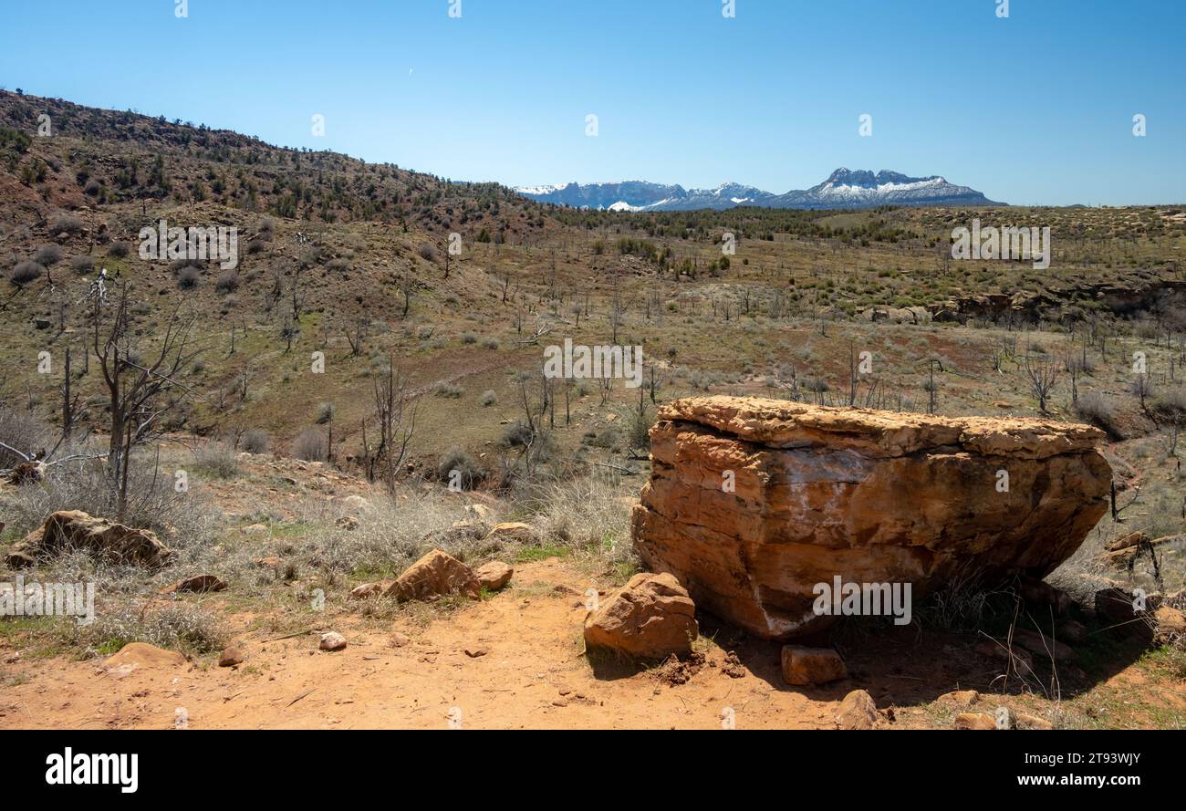 Grande roccia su cui sedersi al Campeggio Four lungo il Chinle Trail a Zion Foto Stock