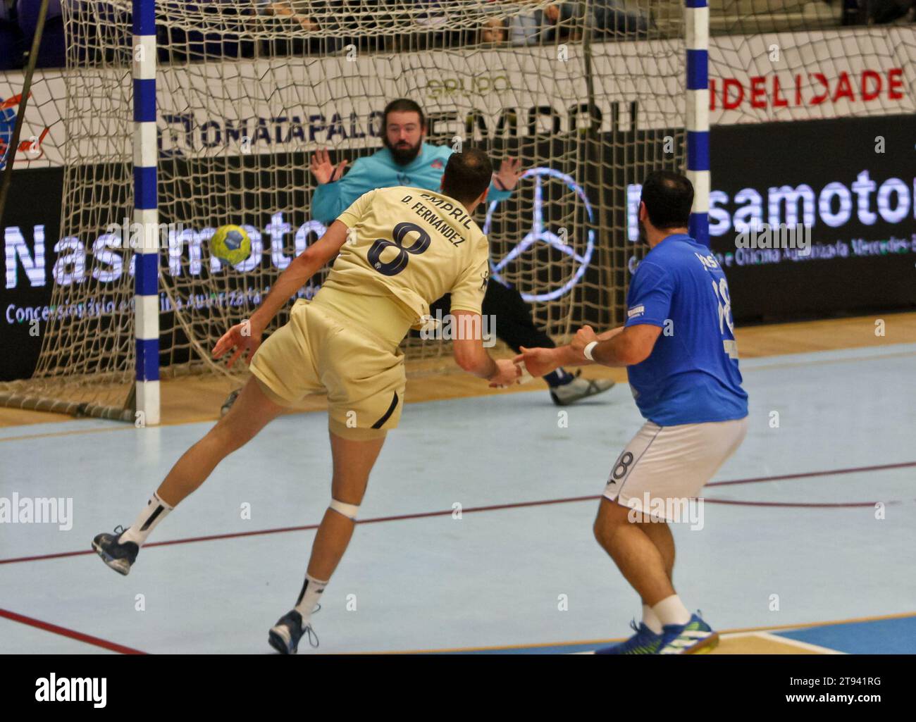 Porto, 19/11/2023 - il Futebol Clube do Porto ha ospitato il Football Club «OS Belenenses» questo pomeriggio, all'Arena Pavilhão Dragão, in una partita che conta per il dodicesimo round del Campionato Nazionale di pallamano - 2023/2024. (José Carmo / immagini globali) Foto Stock