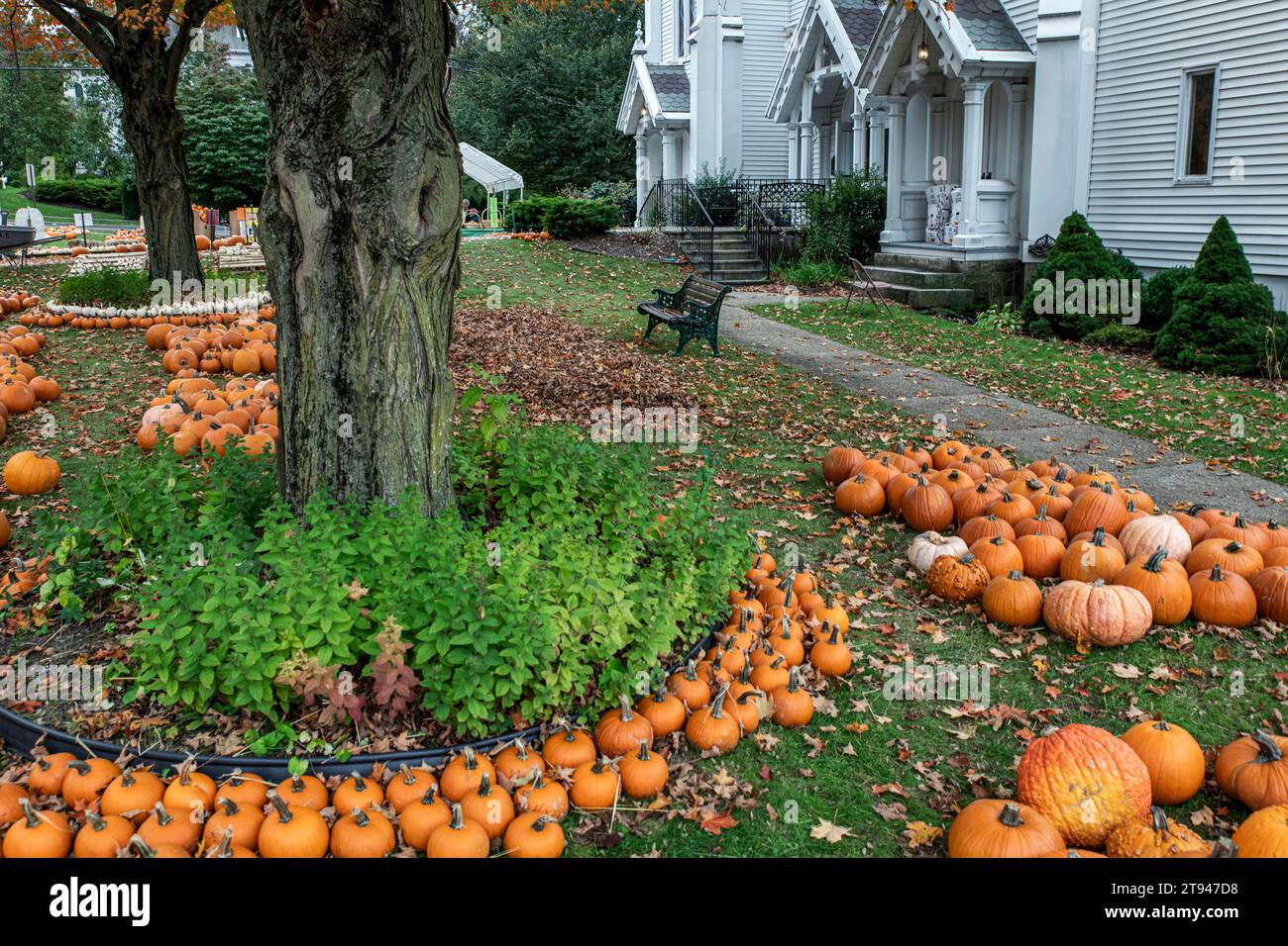 Vendita autunnale di zucca presso la chiesa locale. Foto Stock