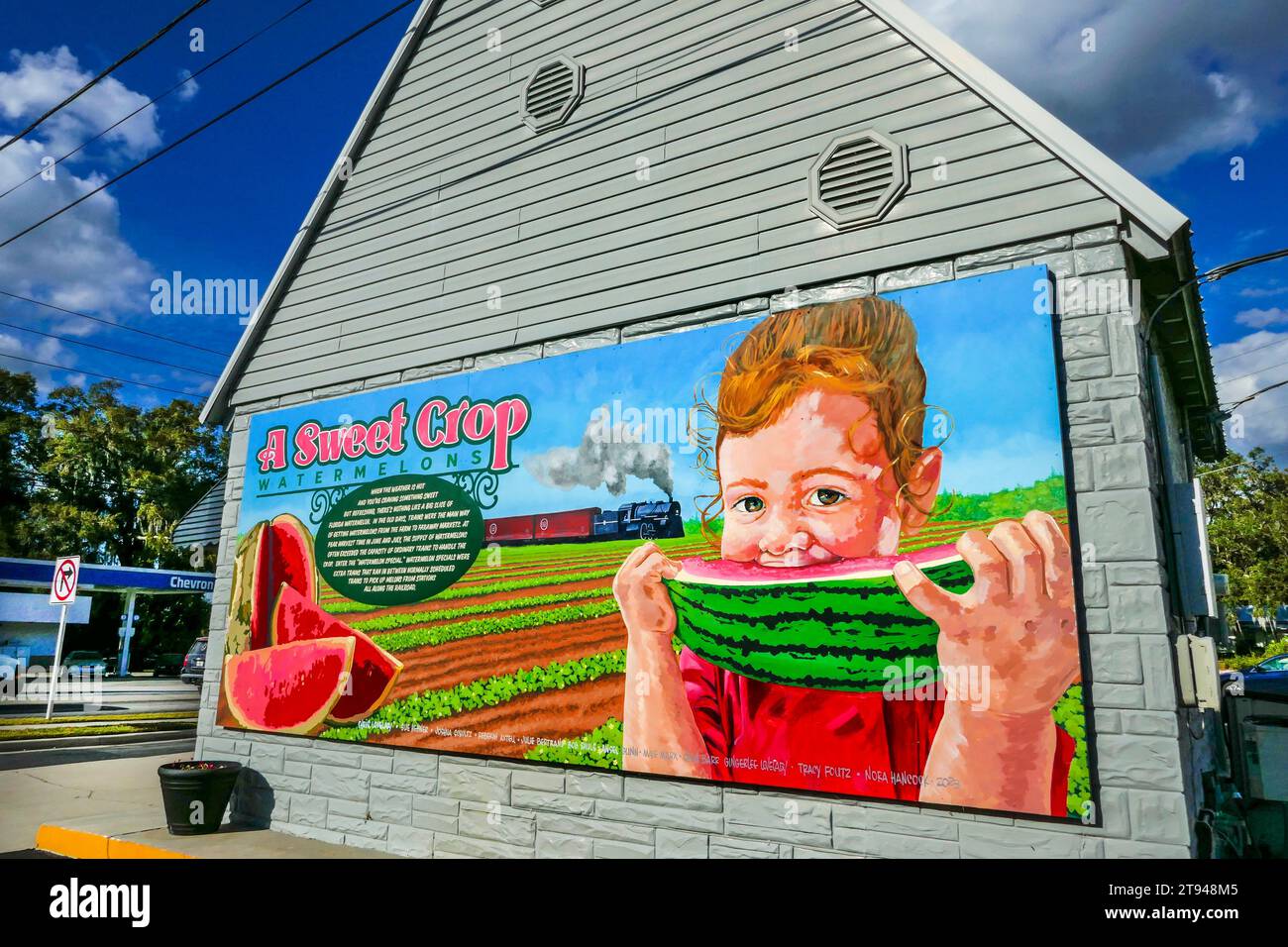 COLORATO MURALE DI UN RAGAZZO CHE MANGIA UN COCOMERO SUL LATO DI UN'AZIENDA LOCALE IN UNA PICCOLA CITTÀ DELLA FLORIDA SETTENTRIONALE. Foto Stock