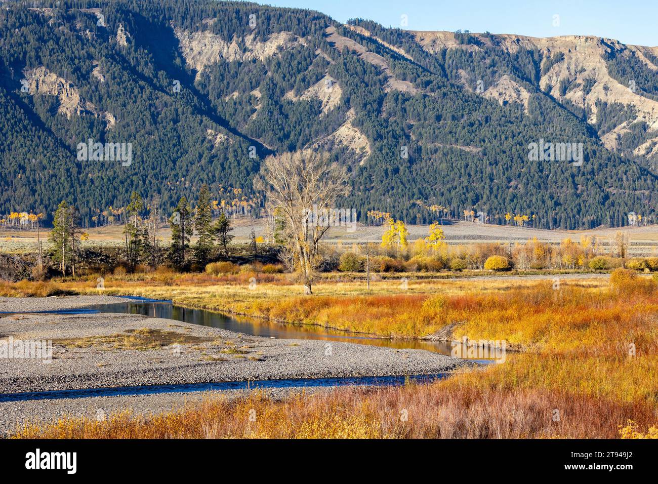 Colori autunnali brillanti circondano il fiume lamar nella valle di Lamar Foto Stock