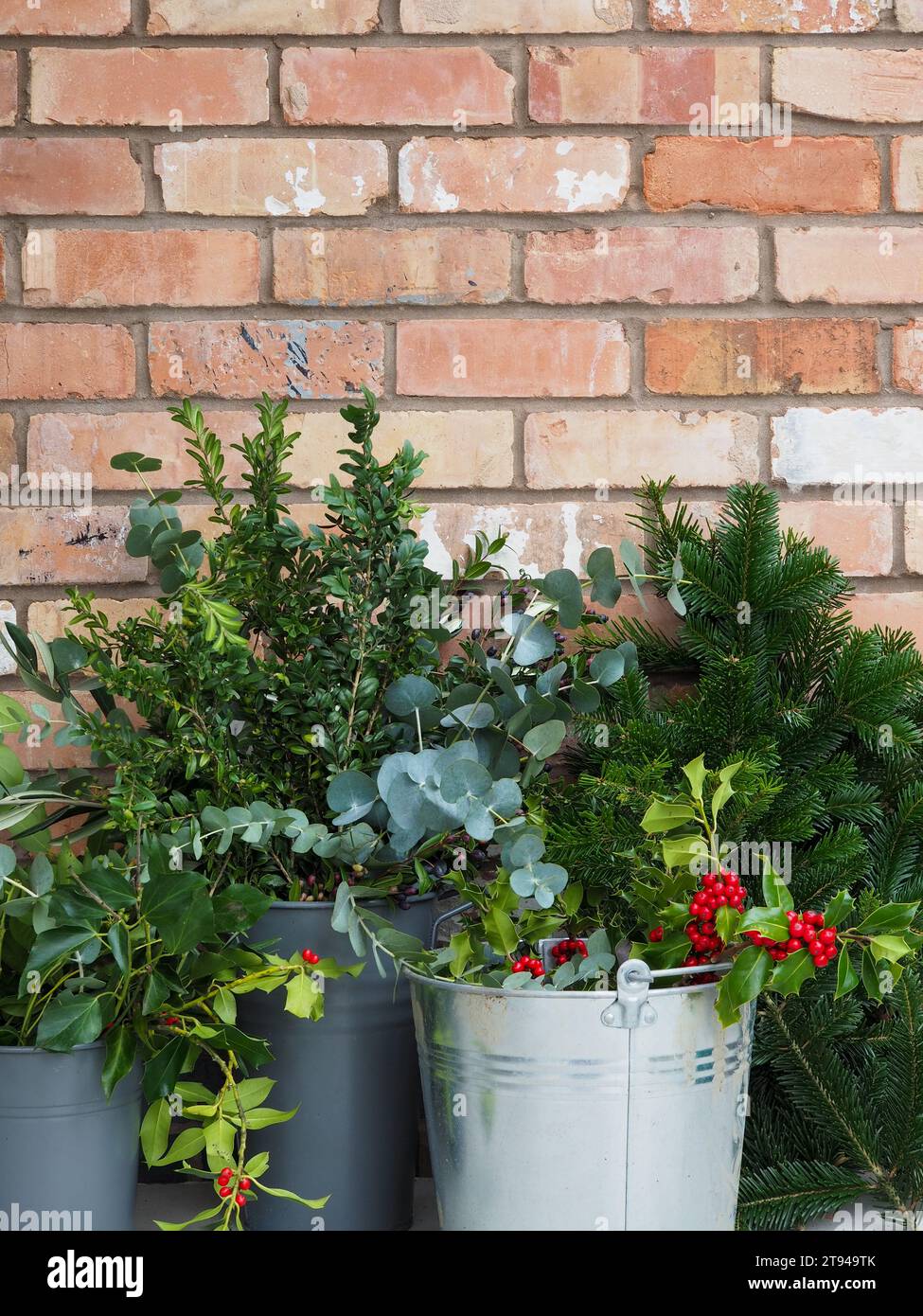 Secchielli di vegetazione foraggiata e fogliame invernale contro un muro di mattoni d'epoca a dicembre pronti per gli allestimenti natalizi Foto Stock