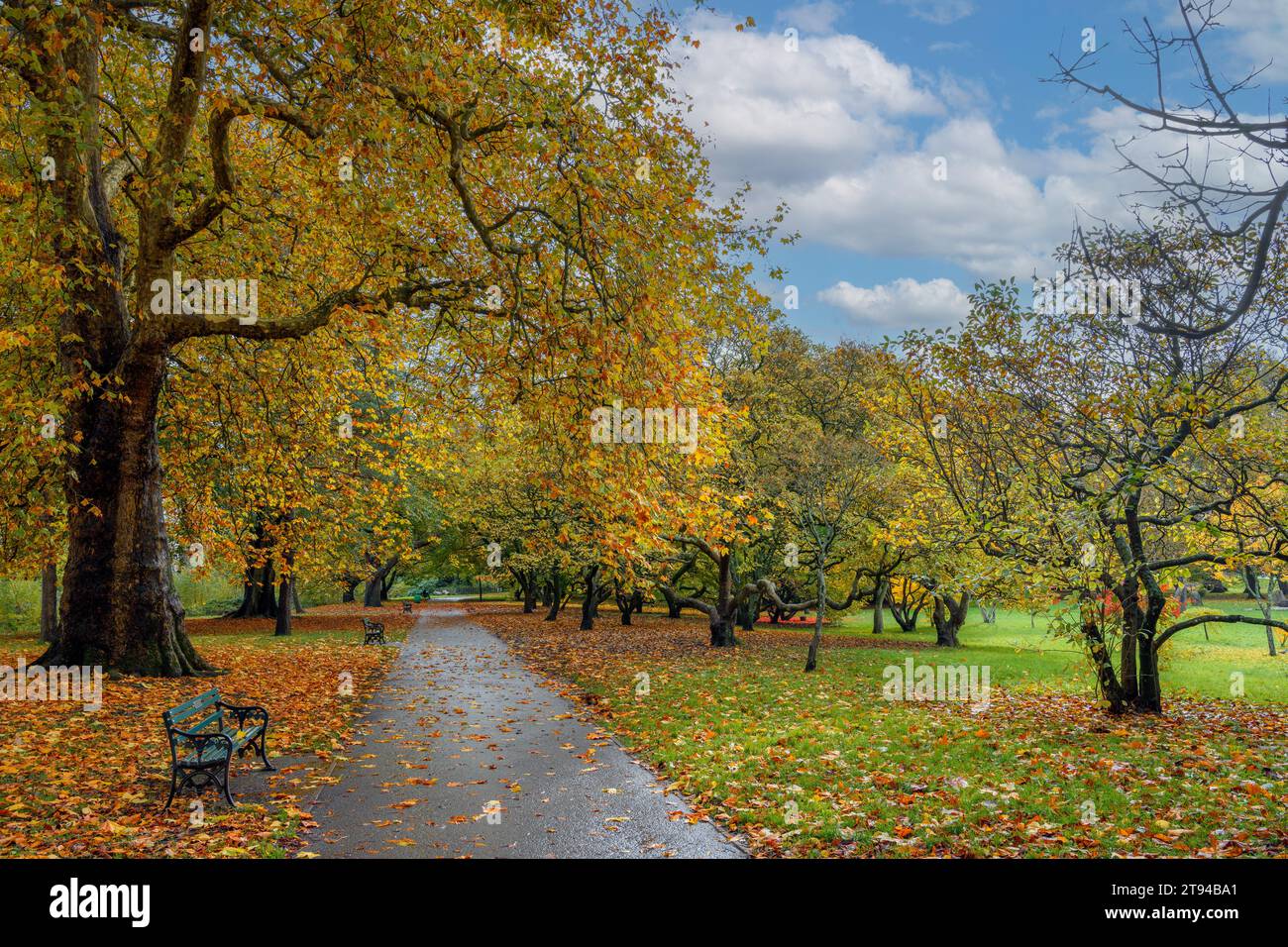 Bute Park in autunno, Cardiff, Galles, Regno Unito Foto Stock