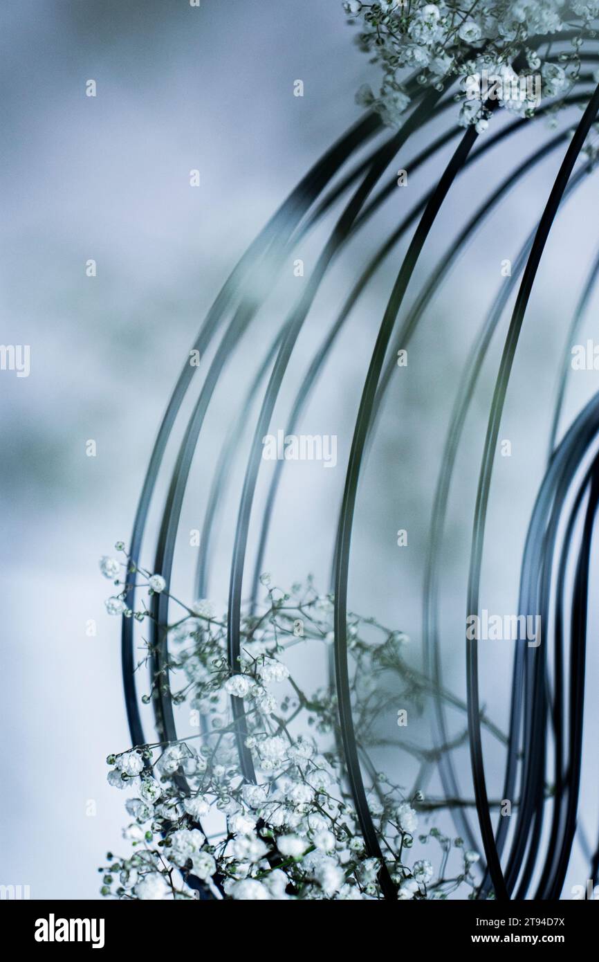 Fiore bianco Foto Stock