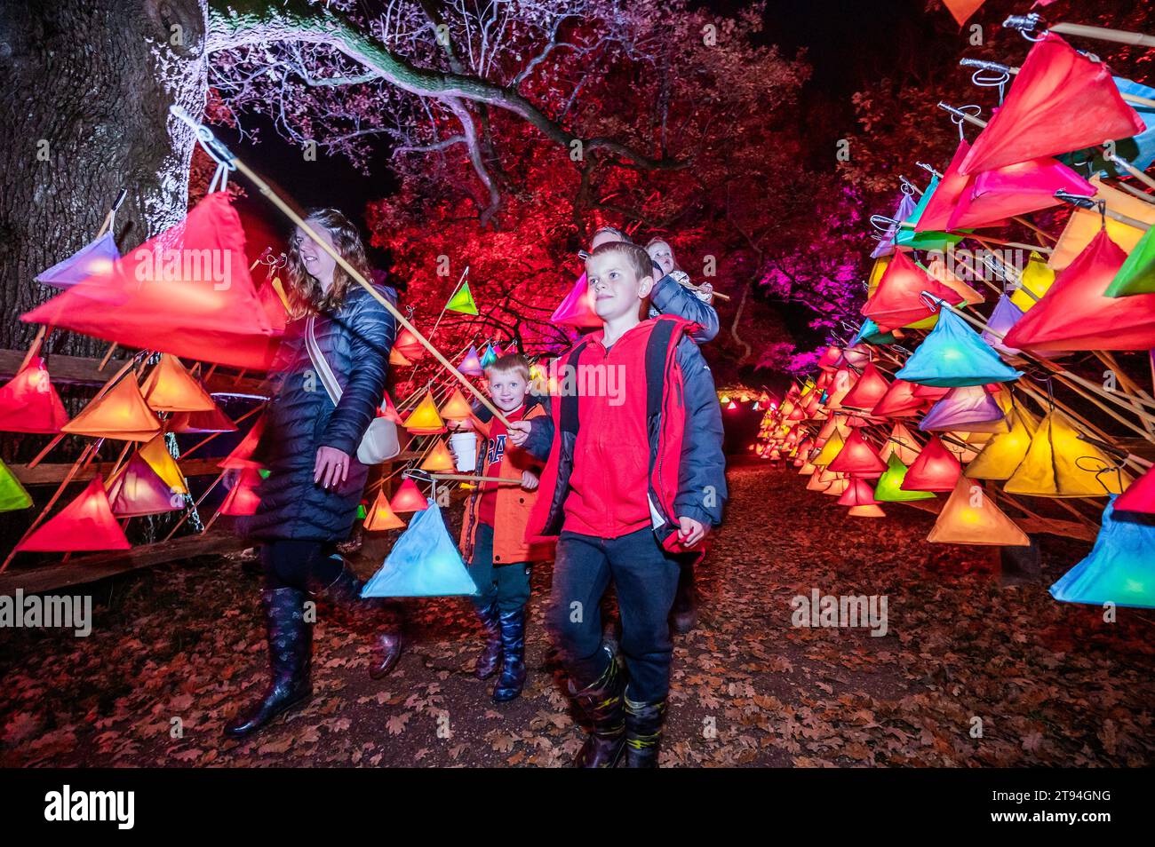 Wakehurst, Regno Unito. 22 novembre 2023. Collezionando lanterne all'inizio - Kew Wakehurst Glow Wild: L'esperienza invernale e natalizia del Sussex e il percorso ritorna per il suo decimo anniversario. Crediti: Guy Bell/Alamy Live News Foto Stock