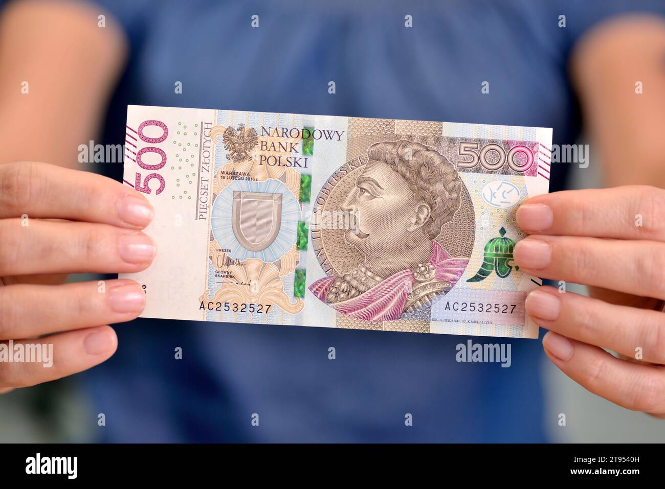 Soldi polacchi in mano a una donna. Foto Stock