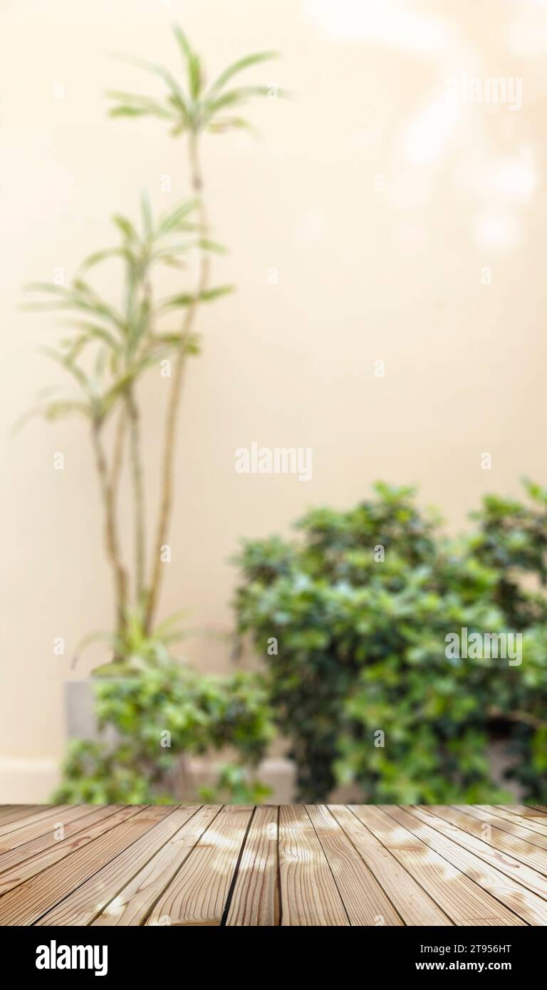 Tavolino in legno rustico vuoto. Pronto per visualizzare e montare il prodotto con spazio per la copia. Pavimento in legno per la presentazione di oggetti. Sfondo sfocato di ba Foto Stock