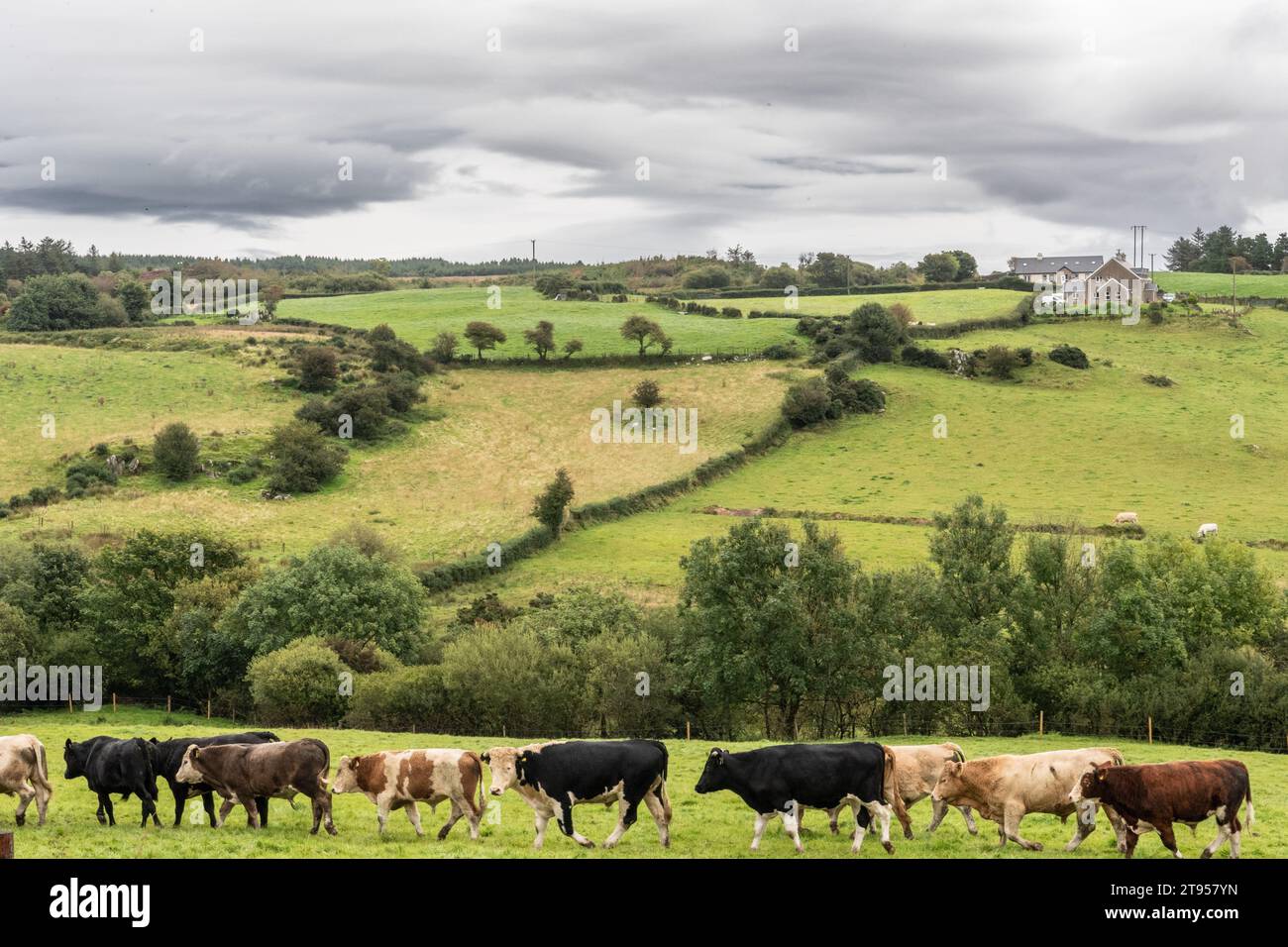 Landscae di Donegal County, Irlanda, Europa Foto Stock