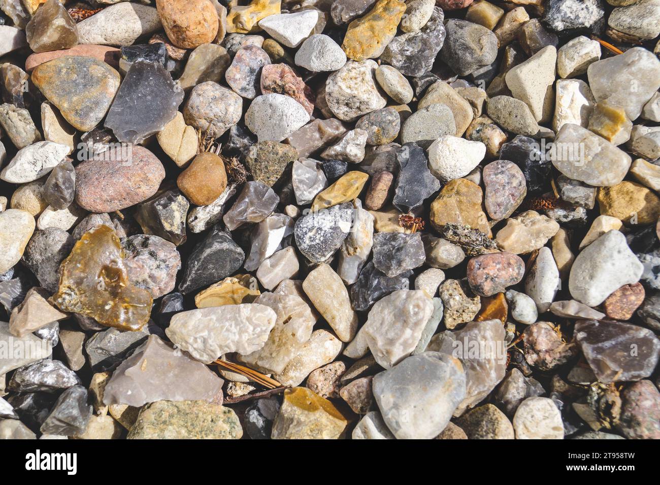 Pietre su una spiaggia Foto Stock