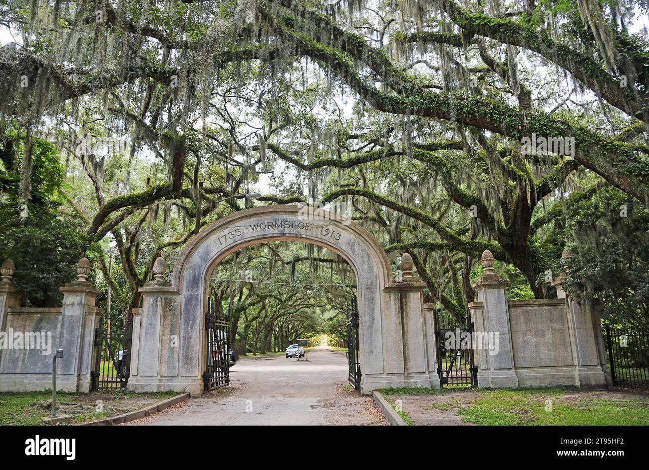 Entrata nella Wormsloe Plantation - Savannah, Georgia Foto Stock