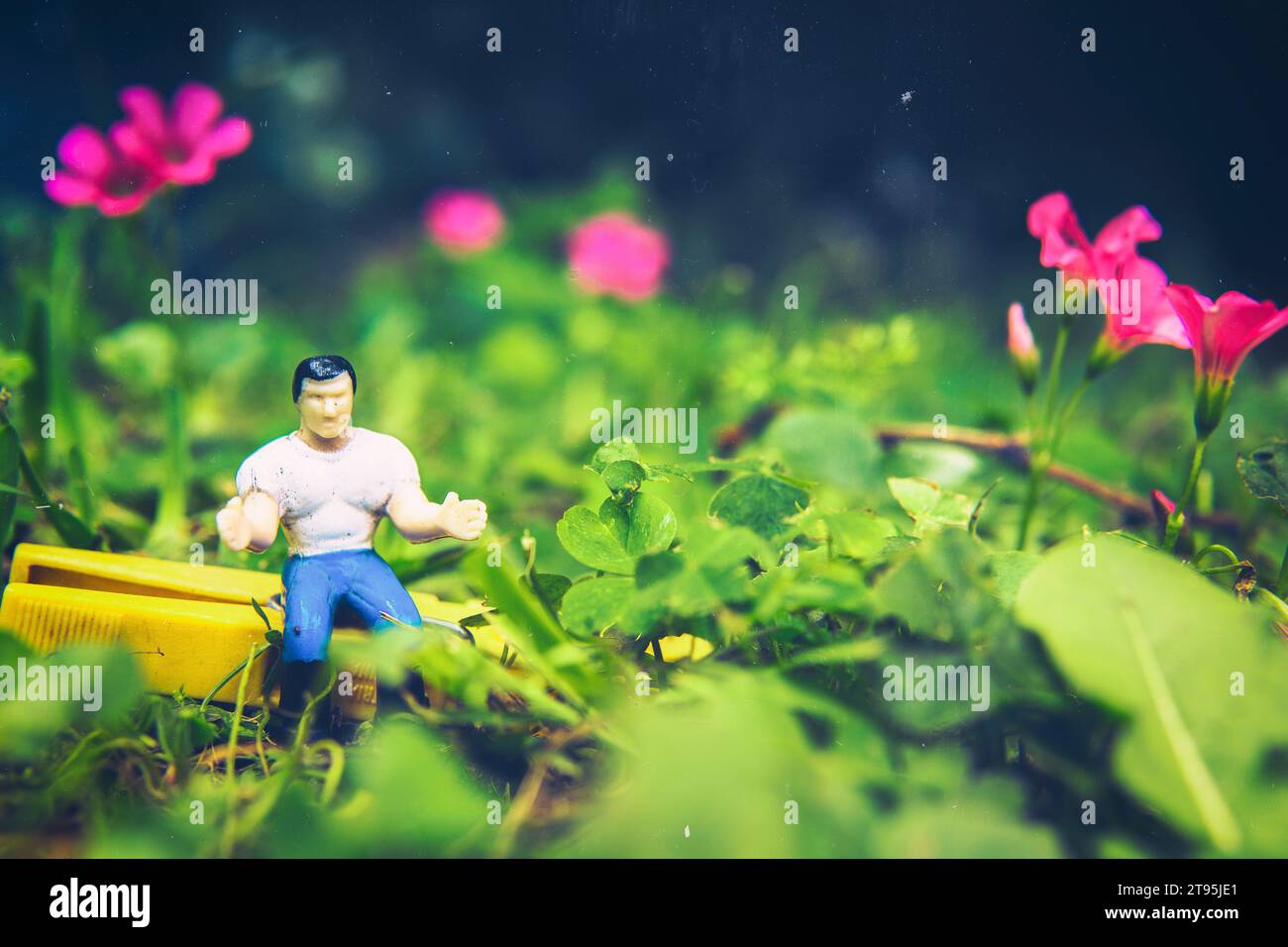 foto macro di una bambola giocattolo tra fiori e trifoglio Foto Stock