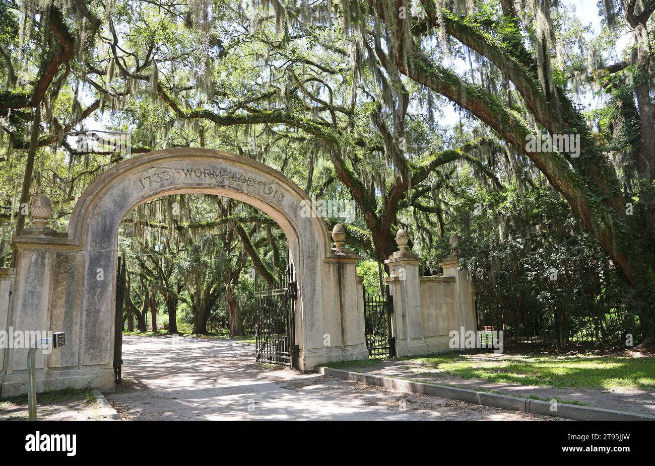 Entra nella Wormsloe Plantation - Savannah, Georgia Foto Stock