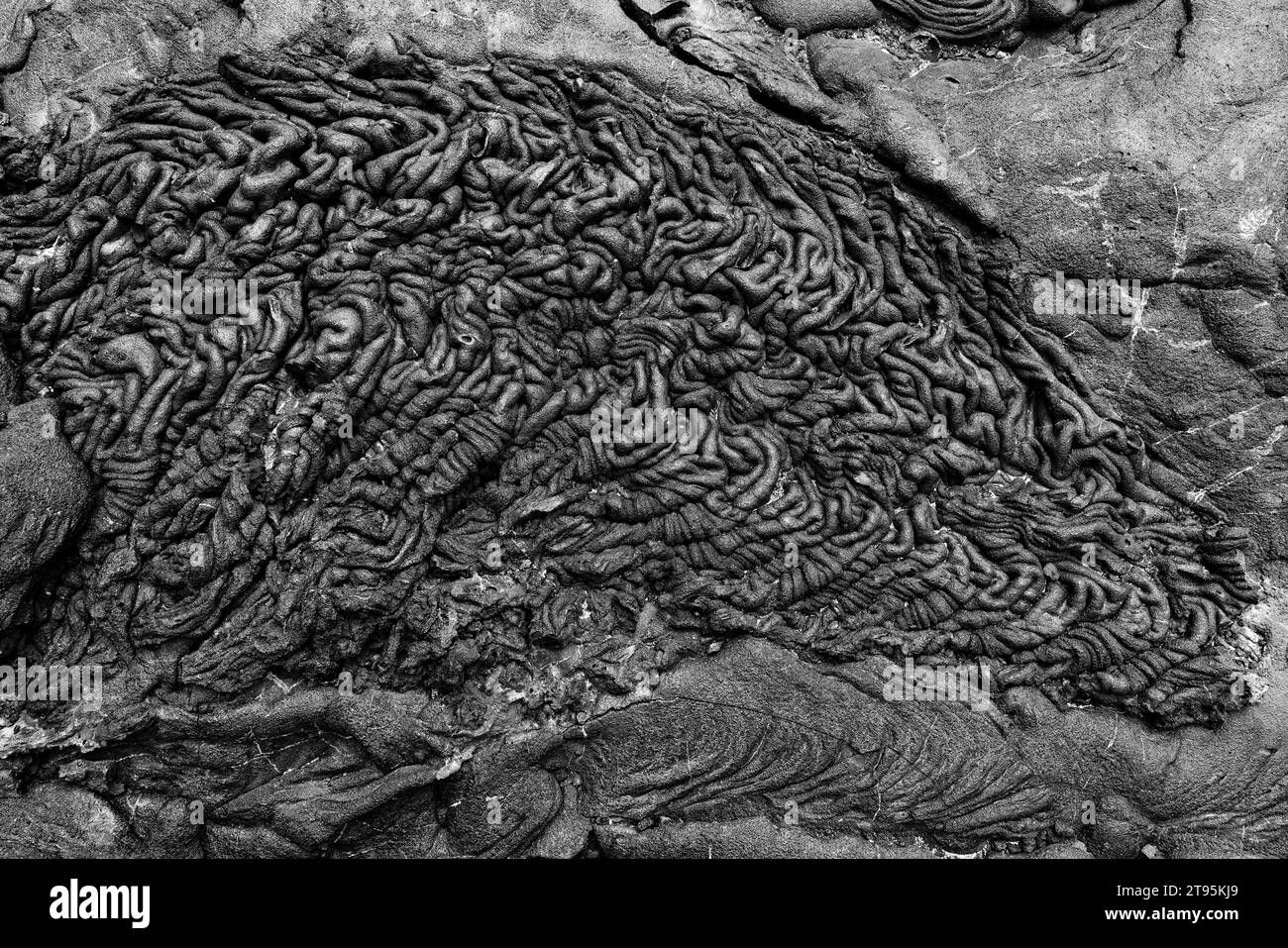 Background: La risorsa grafica della natura. Una scena monocromatica di una formazione di lava vulcanica nera che assomiglia a un cervello sull'isola di Santiago, uno dei GA Foto Stock