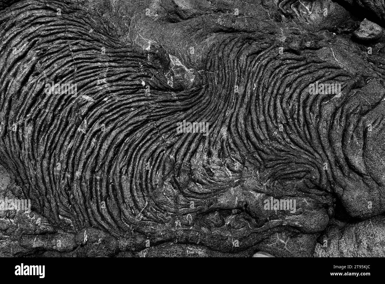 Background: La risorsa grafica della natura. Una scena monocromatica di lava vulcanica nera con increspature sabbiose sull'isola di Santiago, una delle isole Galápagos Foto Stock