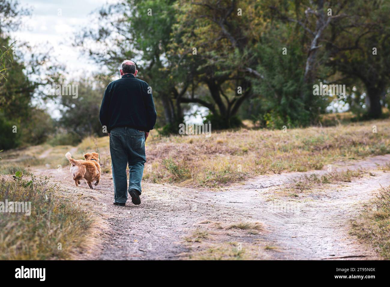 persona che cammina con il suo cane attraverso la foresta Foto Stock